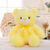 Light Up LED Teddy Bear