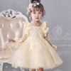 princess dress