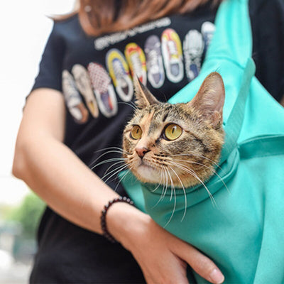 Pet Outdoor Travel Sling