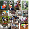 Warm Clothing for Dogs