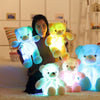 Light Up LED Teddy Bear