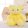 Light Up LED Teddy Bear