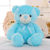 Light Up LED Teddy Bear